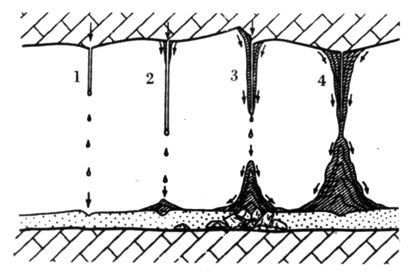 1 - вода, капающая со сводов, выделяет кальцит, образуя трубку. Падающие с нее капли выбивают ямку в глинистом дне пещеры; 2 - основание трубки становится толще, а ямка под ней заполняется кальцитом; 3 - трубка с утолщенными стенками превращается в массивный сталактит, под ним возникает сталагмит; 4 - сталактит и сталагмит срастаются в колонну, называемую сталагнатом