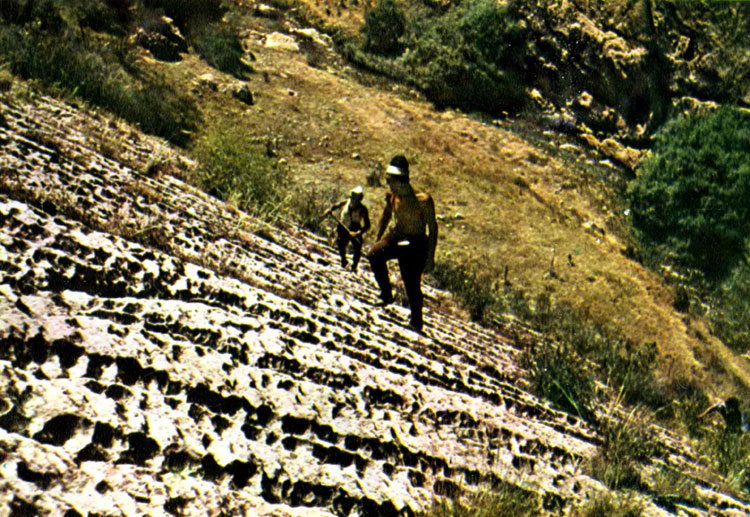 Желобчатые карры на Туркестанском хребте
